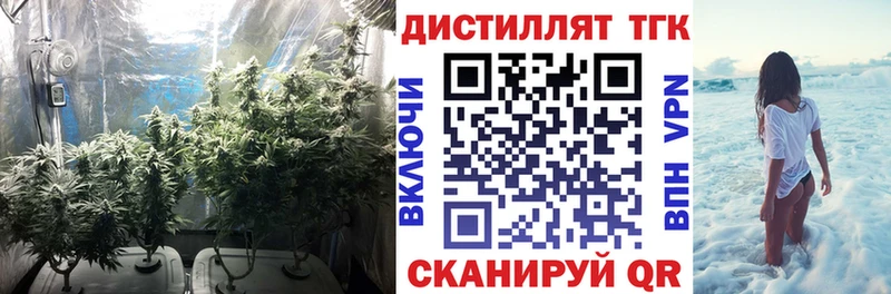 Дистиллят ТГК Wax  Купить закладки  Правдинск 